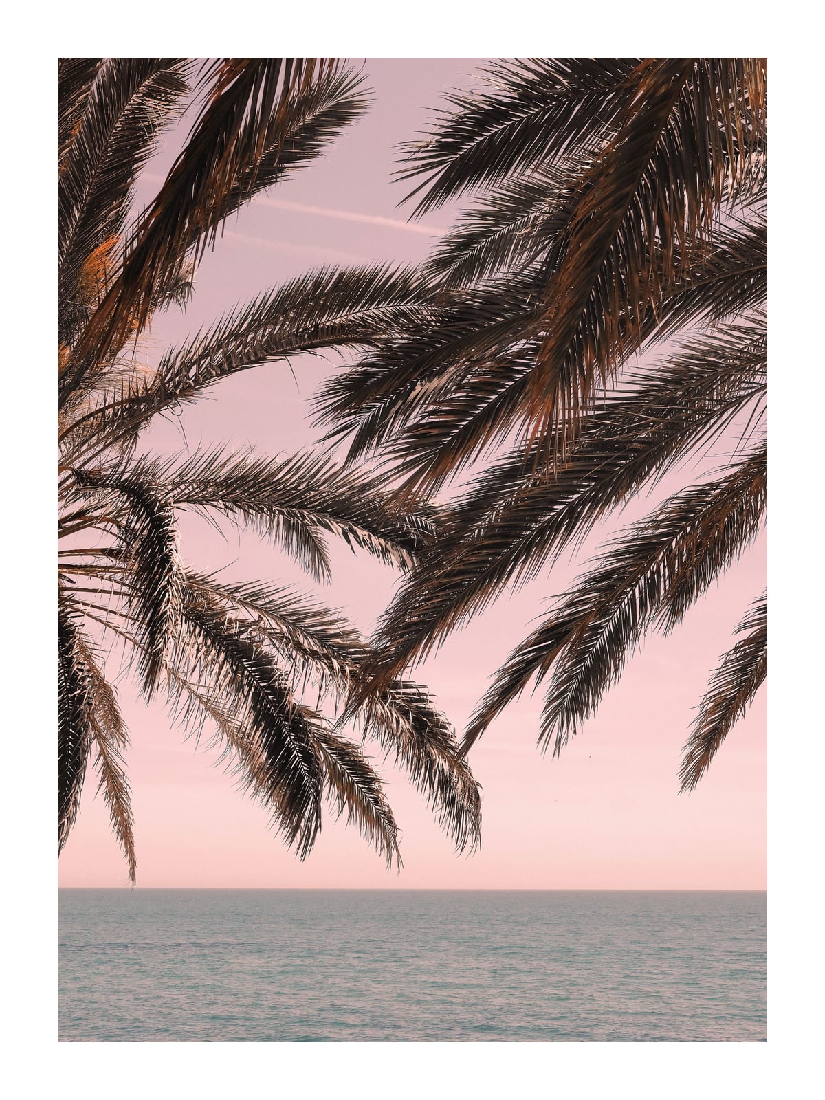variant-30x40_with-margin