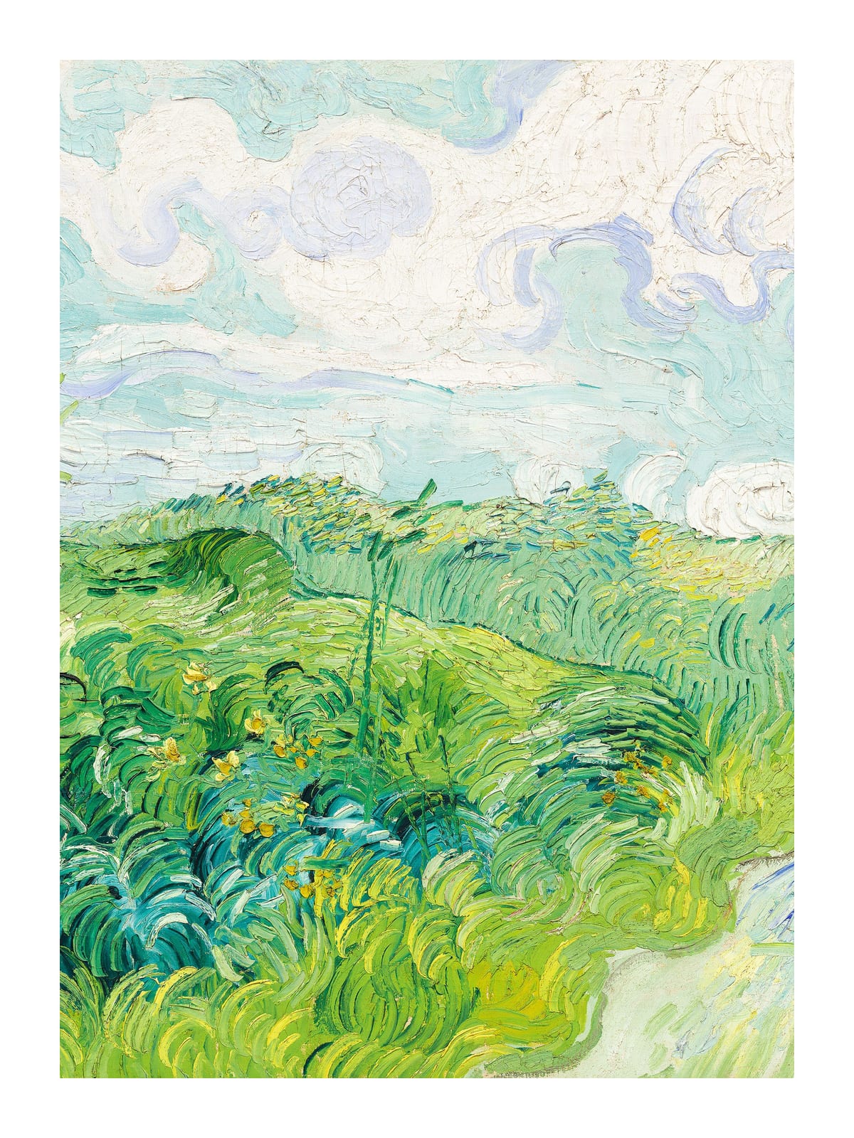variant-30x40_with-margin