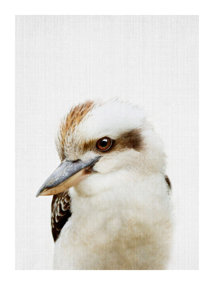variant-30x40_with-margin