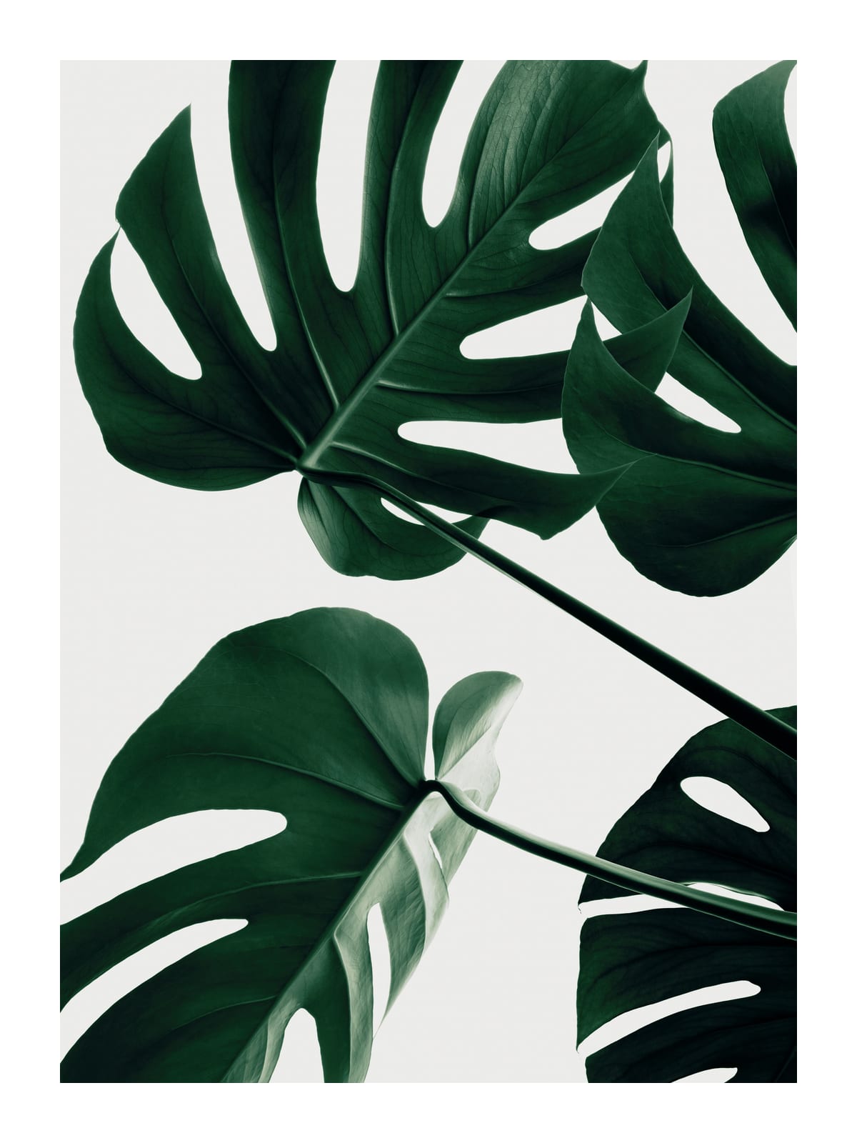 variant-30x40_with-margin