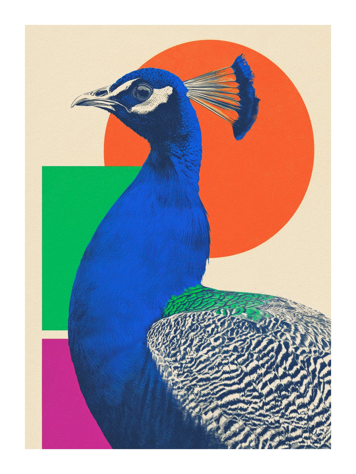 variant-30x40_with-margin