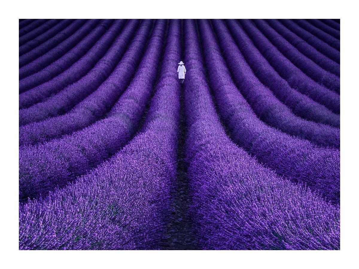 variant-30x40_with-margin