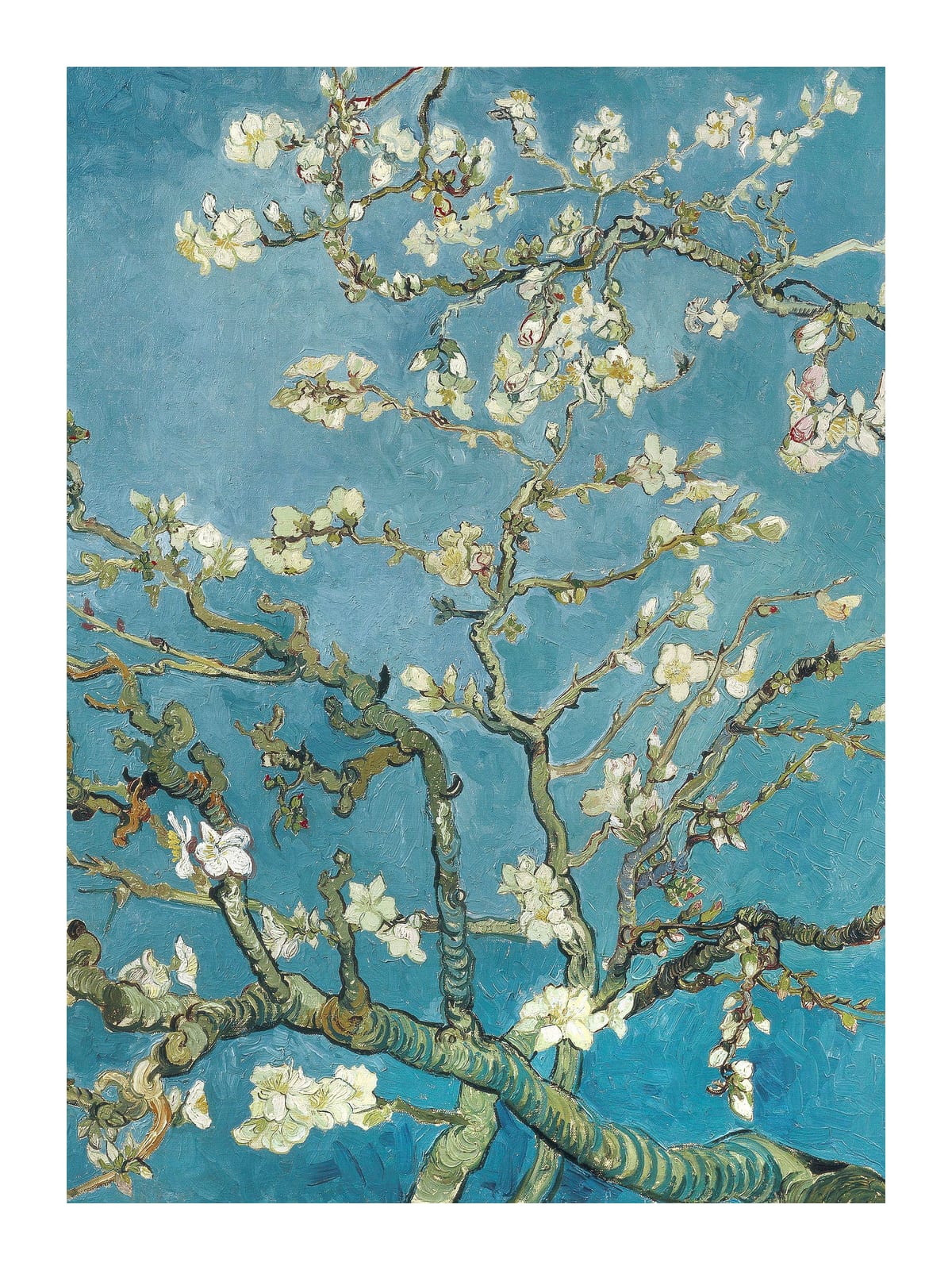 variant-30x40_with-margin
