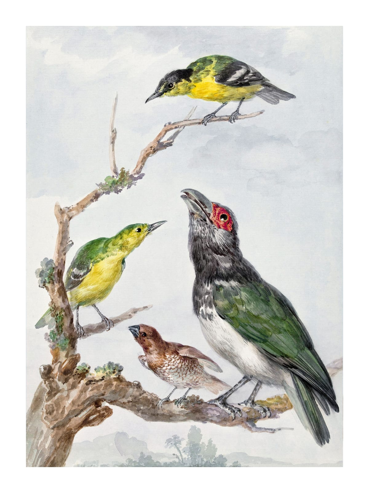 variant-30x40_with-margin