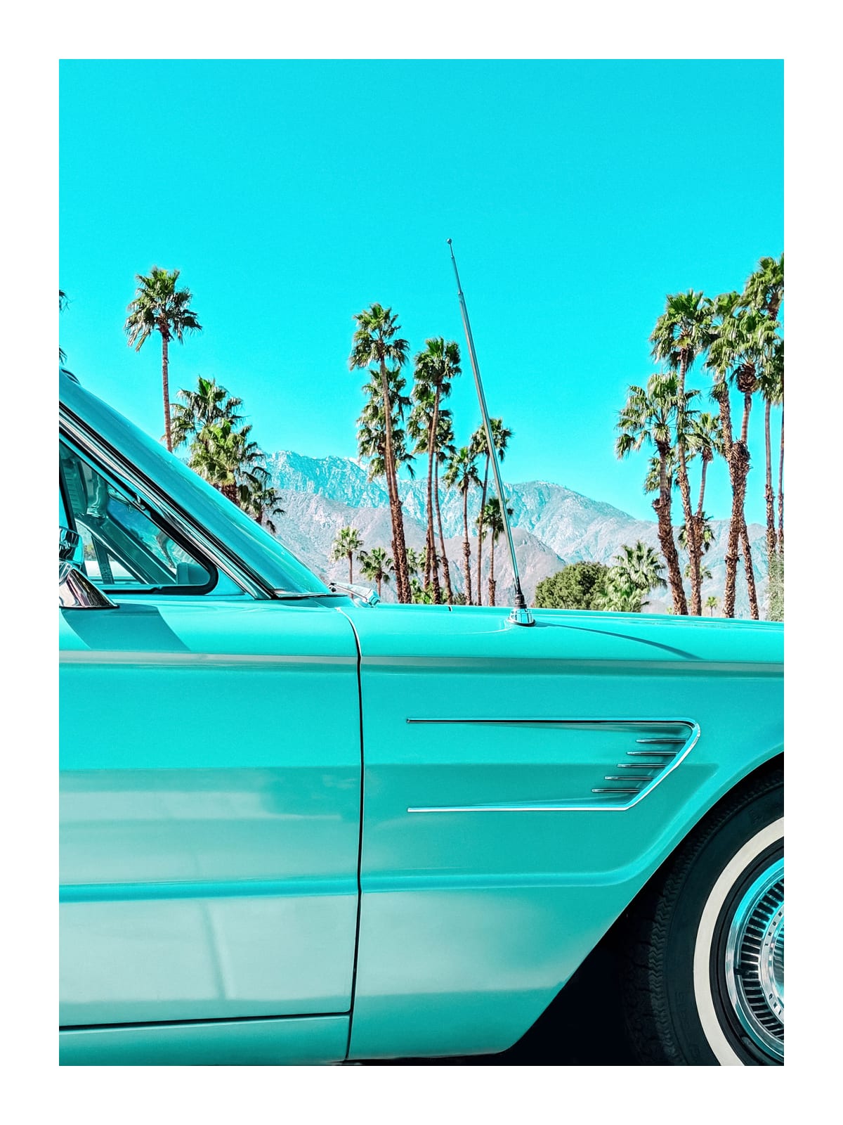 variant-30x40_with-margin