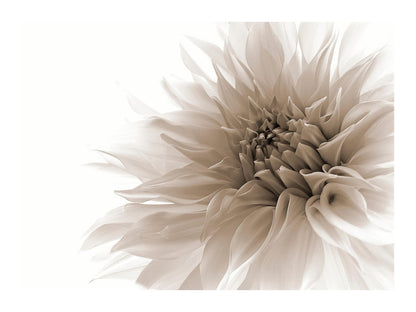 variant-30x40_with-margin