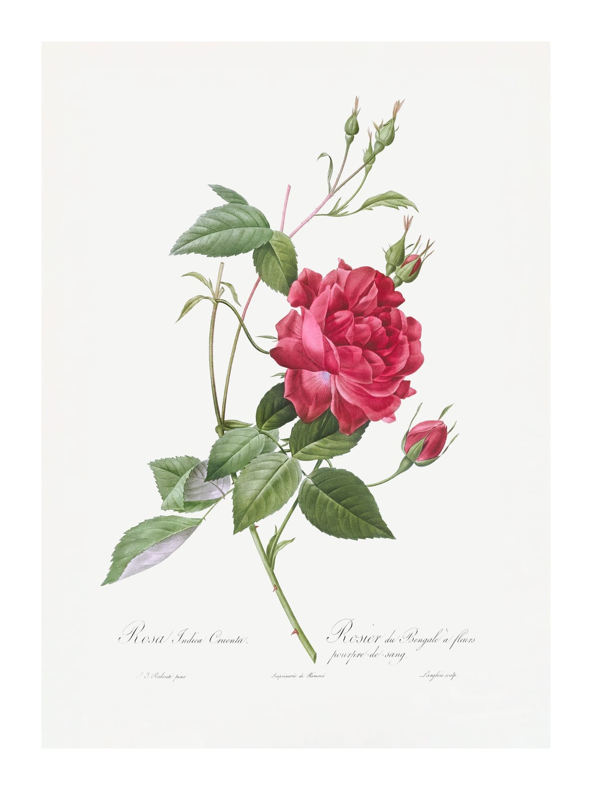 variant-30x40_with-margin