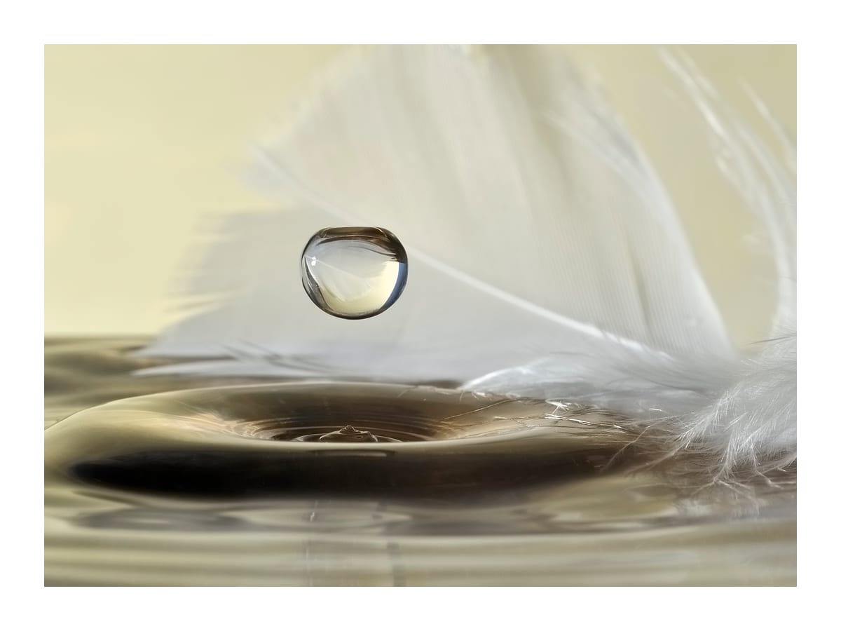 variant-30x40_with-margin