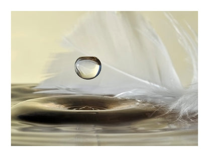 variant-30x40_with-margin
