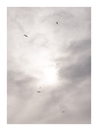 variant-30x40_with-margin