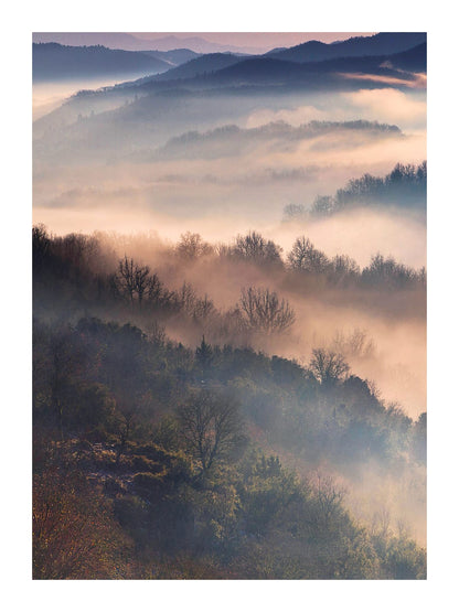 variant-30x40_with-margin