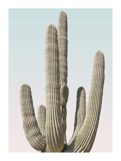 variant-30x40_with-margin