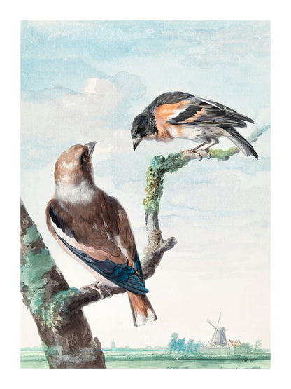 variant-30x40_with-margin