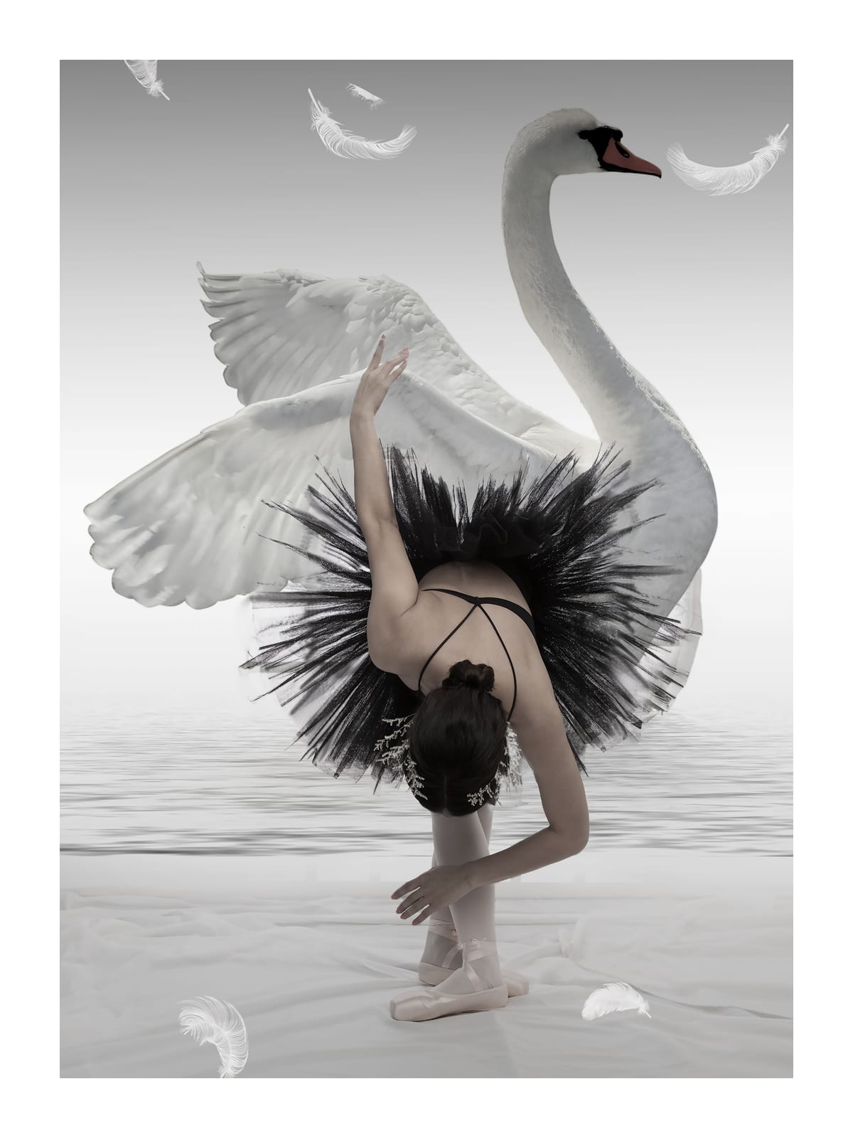 variant-30x40_with-margin