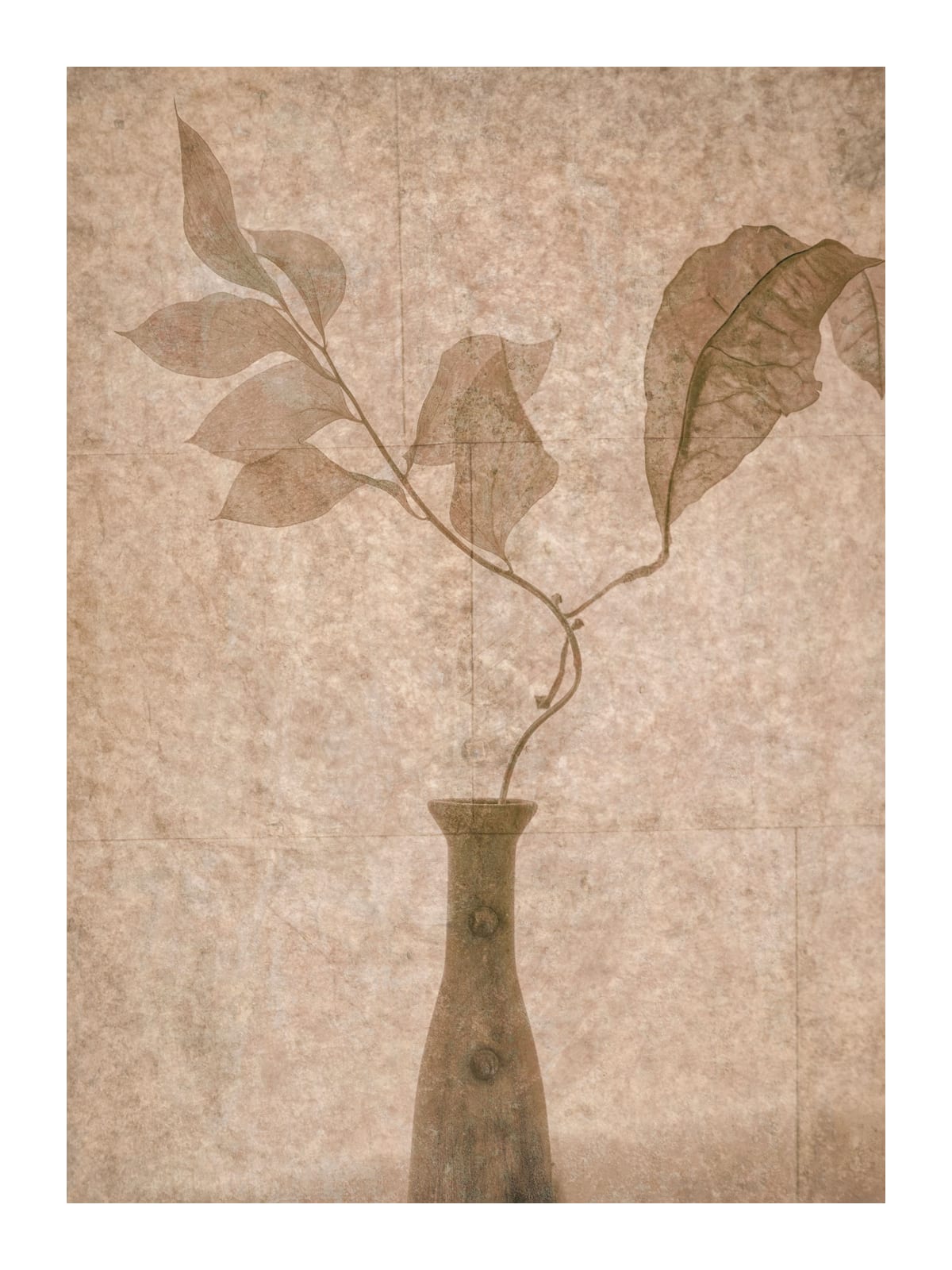 variant-30x40_with-margin