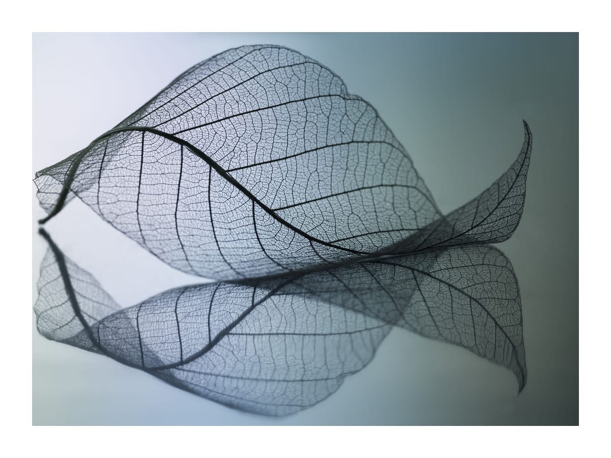 variant-30x40_with-margin
