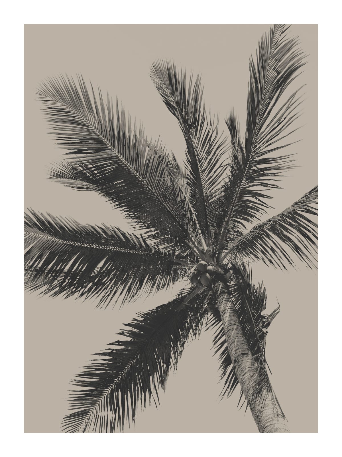 variant-30x40_with-margin