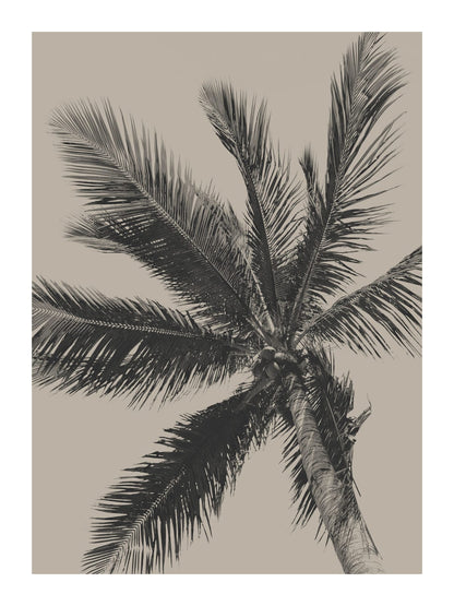 variant-30x40_with-margin