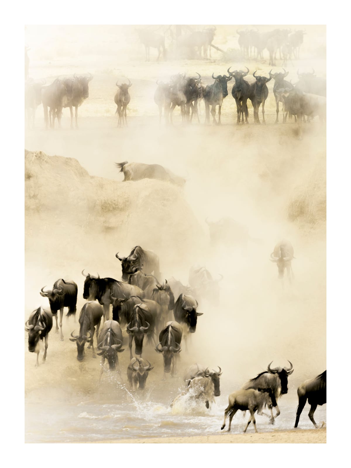variant-30x40_with-margin