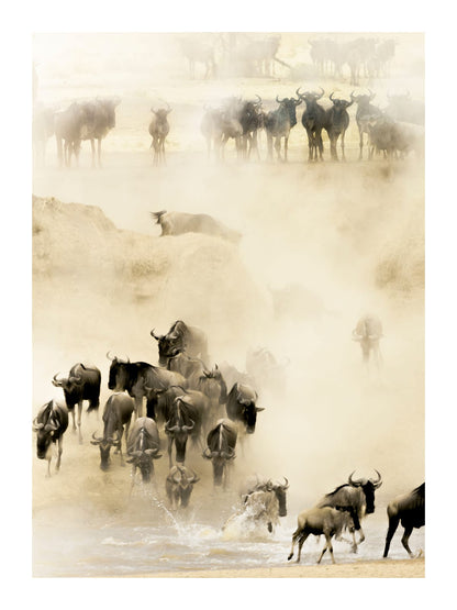 variant-30x40_with-margin