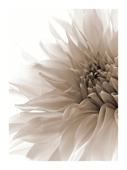 variant-30x40_with-margin