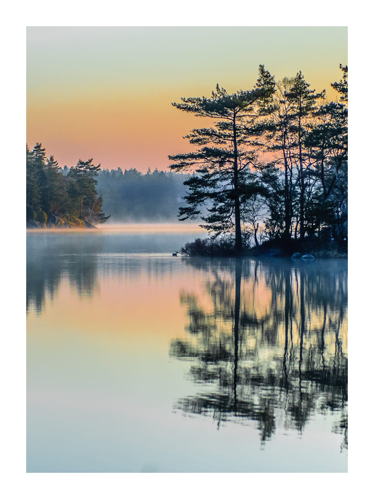 variant-30x40_with-margin