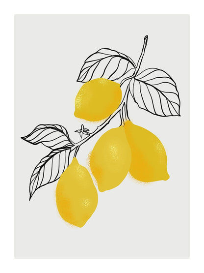 variant-30x40_with-margin