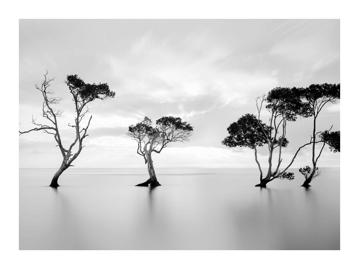 variant-30x40_with-margin