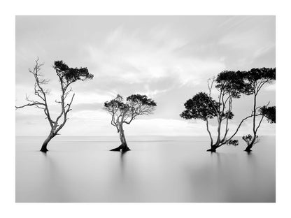 variant-30x40_with-margin
