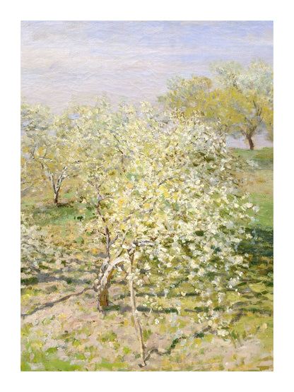 variant-30x40_with-margin