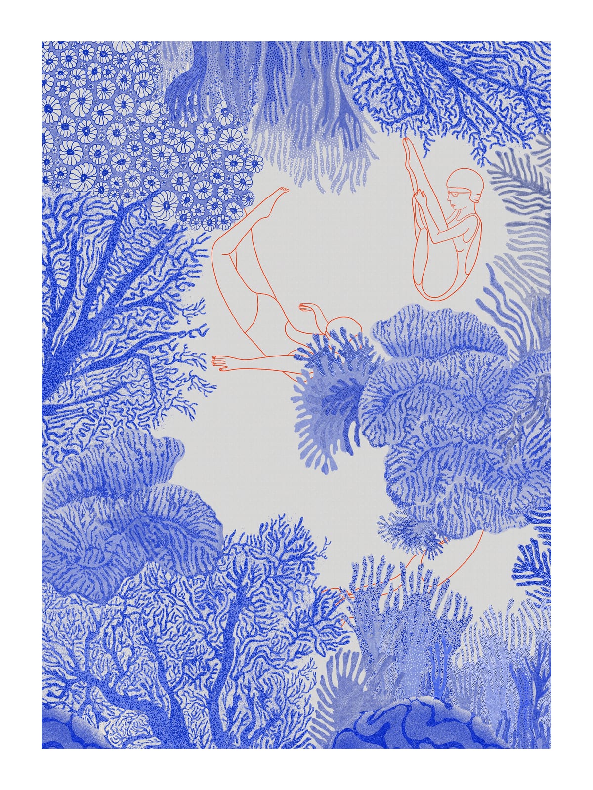 variant-30x40_with-margin