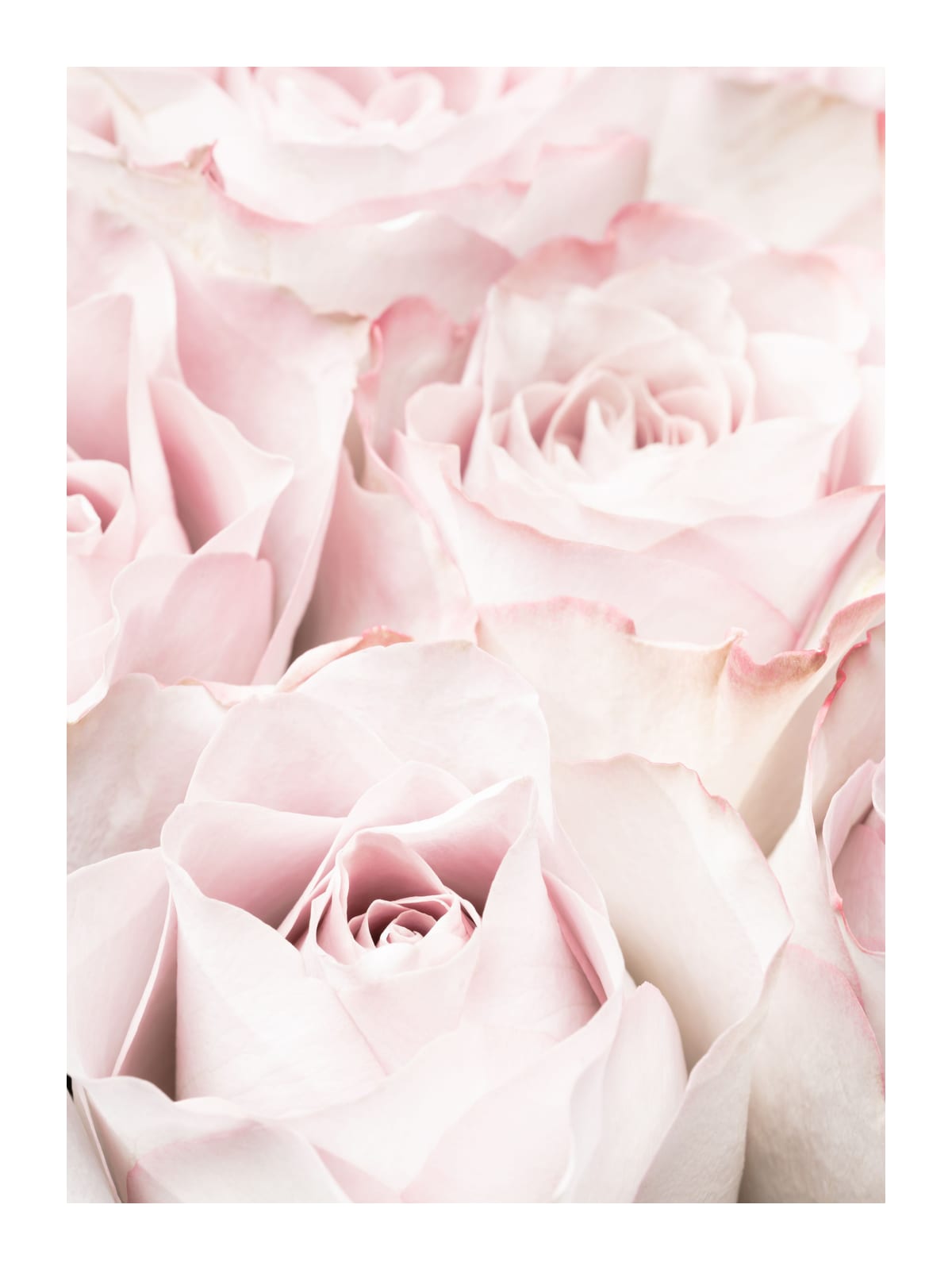 variant-30x40_with-margin