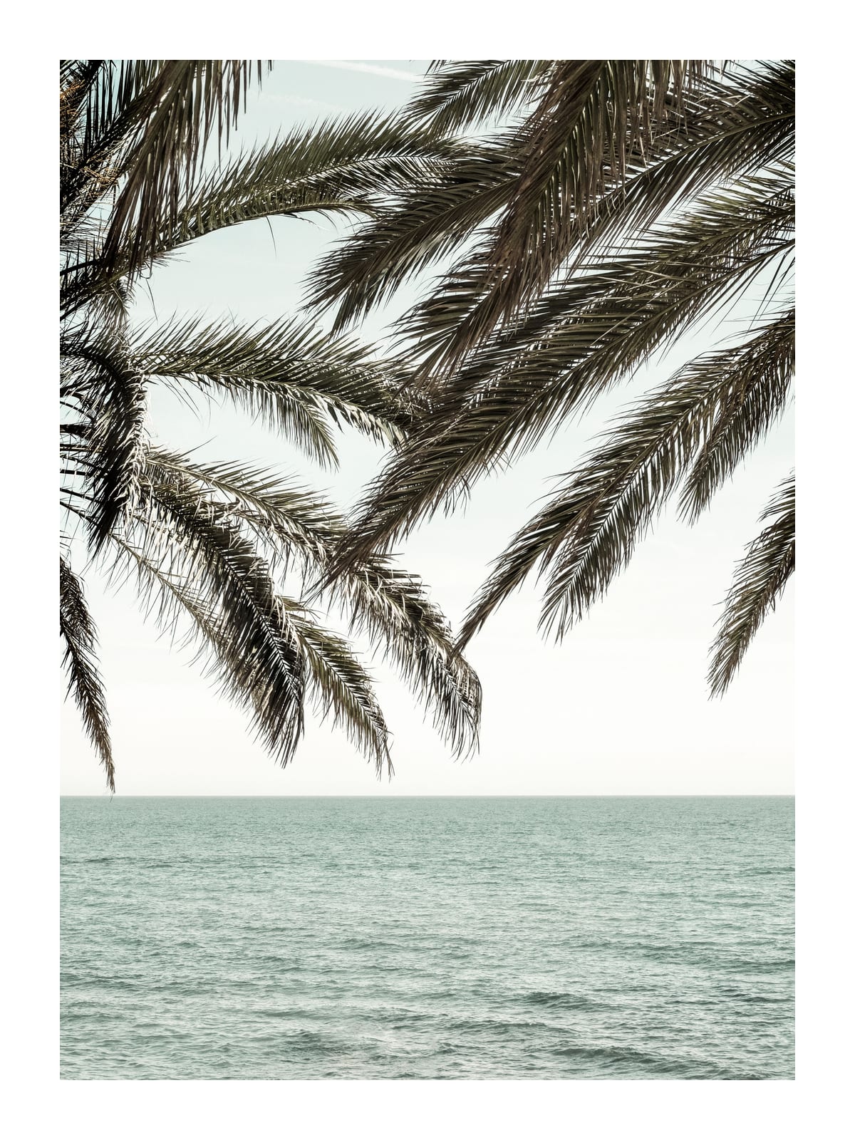 variant-30x40_with-margin