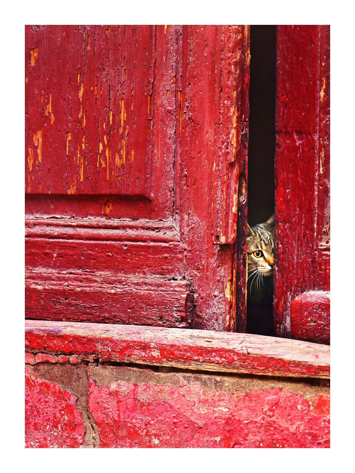variant-30x40_with-margin