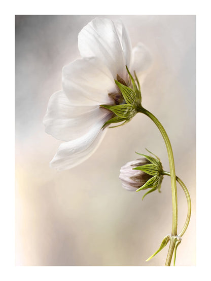 variant-30x40_with-margin