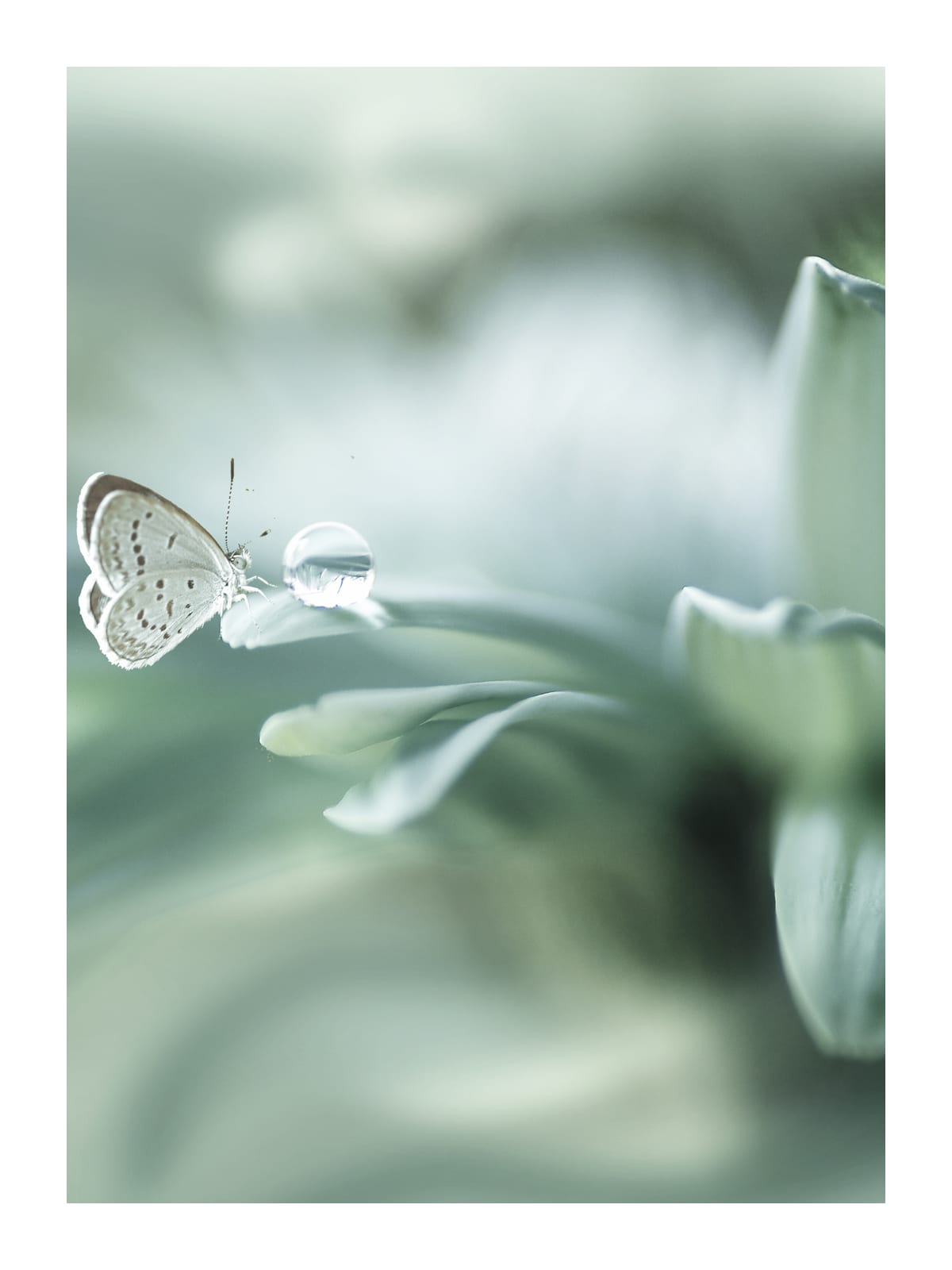 variant-30x40_with-margin