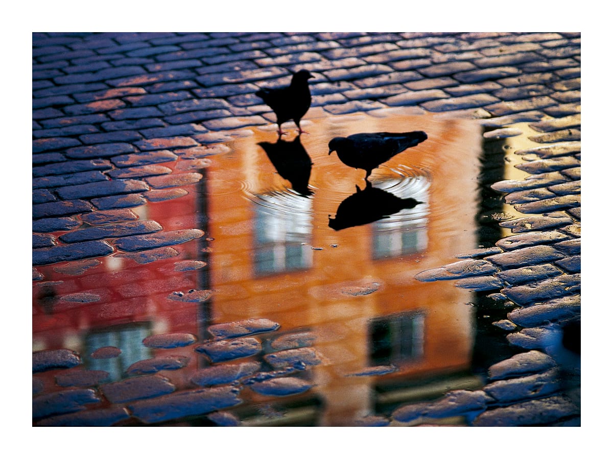 variant-30x40_with-margin