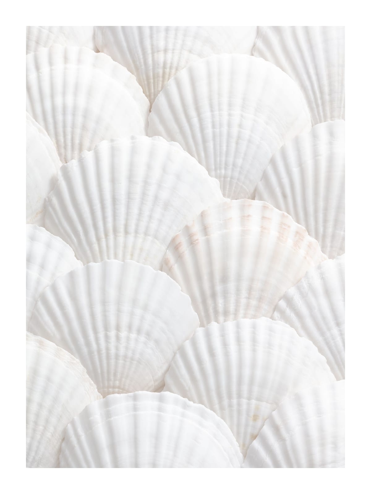 variant-30x40_with-margin