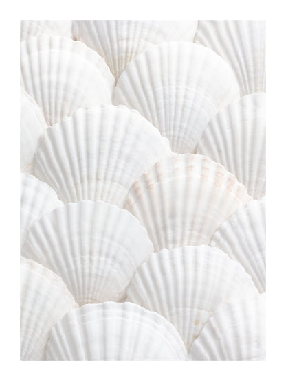 variant-30x40_with-margin