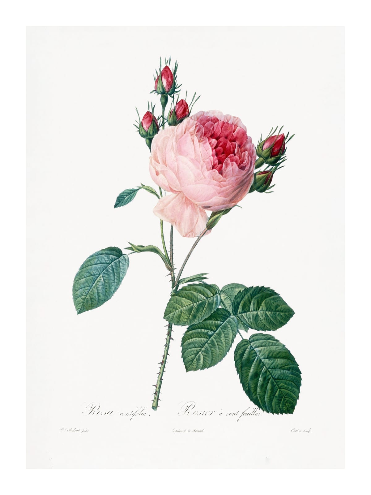 variant-30x40_with-margin
