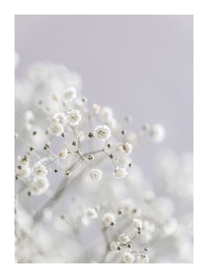 variant-30x40_with-margin