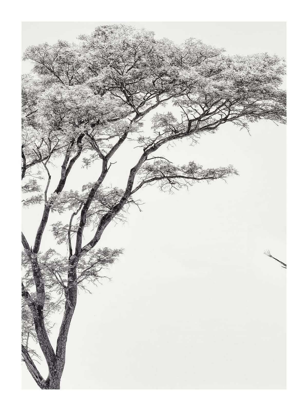 variant-30x40_with-margin