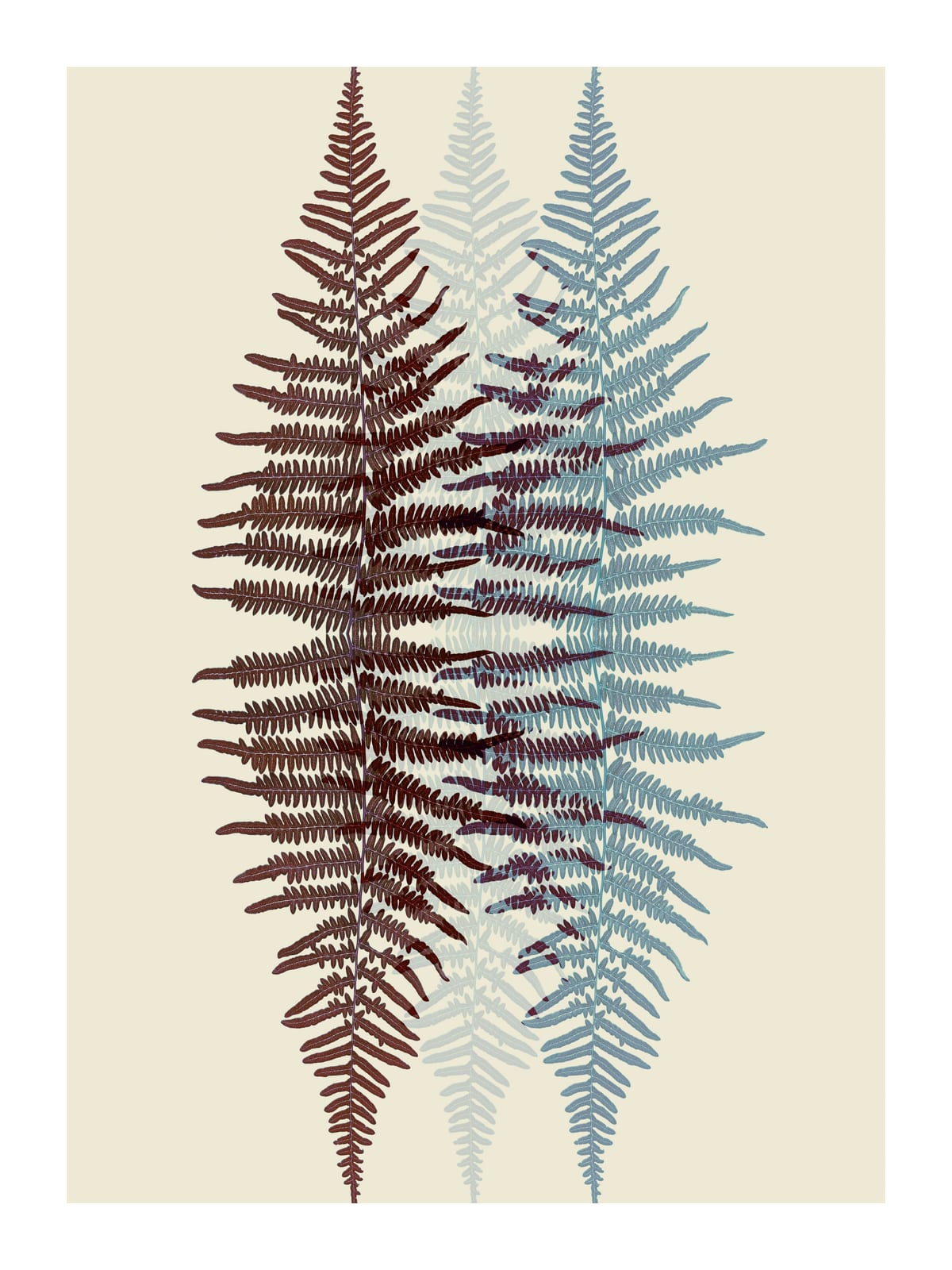 variant-30x40_with-margin