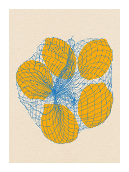 variant-30x40_with-margin