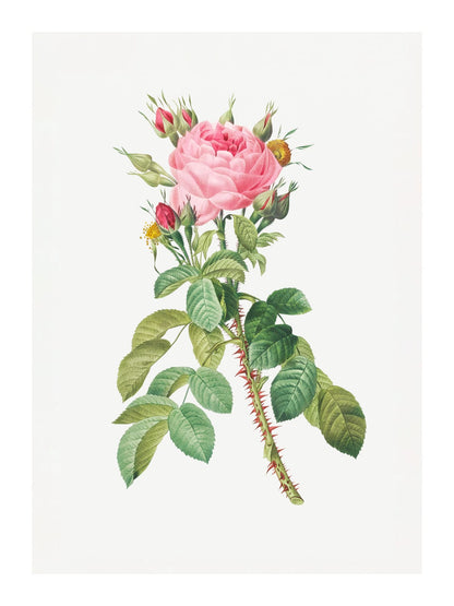 variant-30x40_with-margin