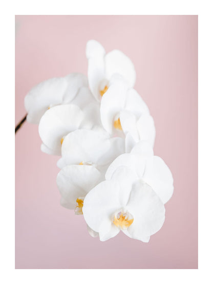 variant-30x40_with-margin