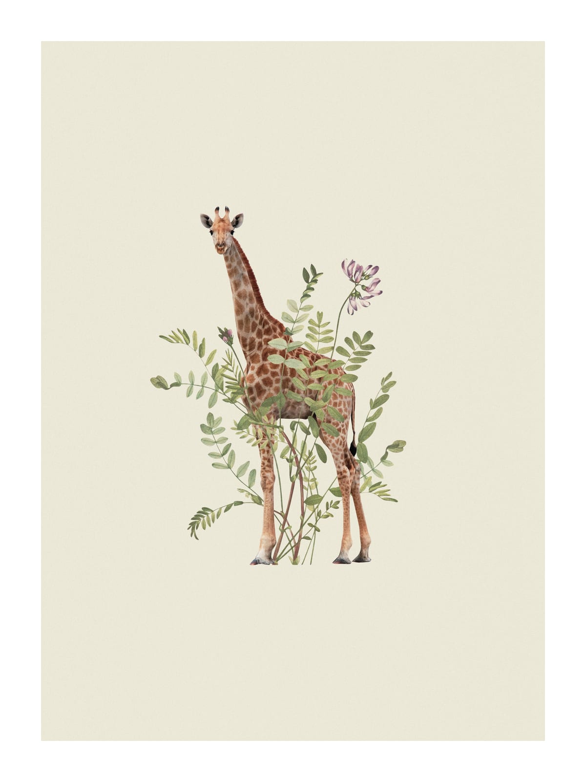 variant-30x40_with-margin