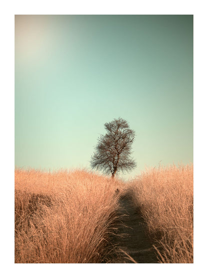 variant-30x40_with-margin