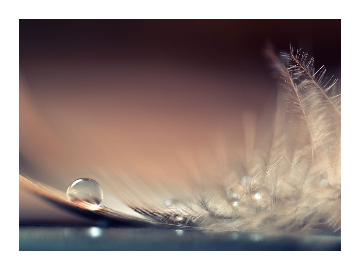 variant-30x40_with-margin