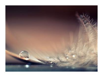 variant-30x40_with-margin
